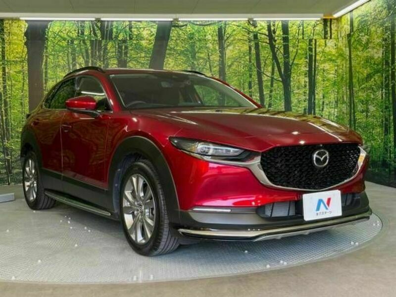 CX-30