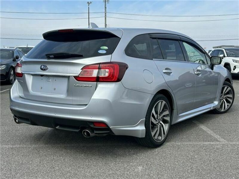 LEVORG