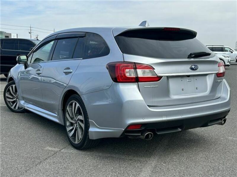 LEVORG