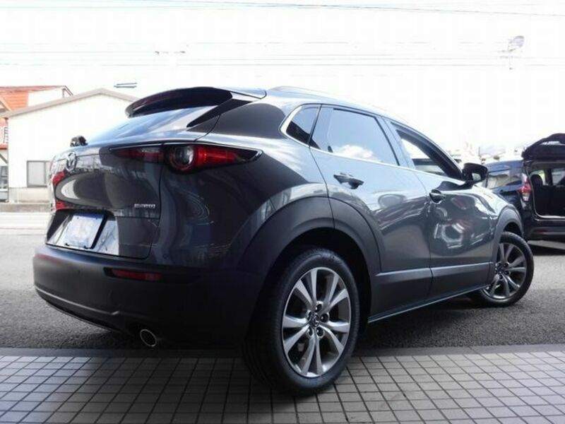 CX-30