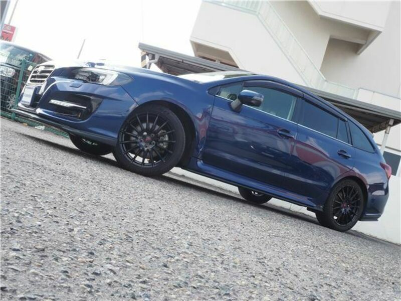 LEVORG