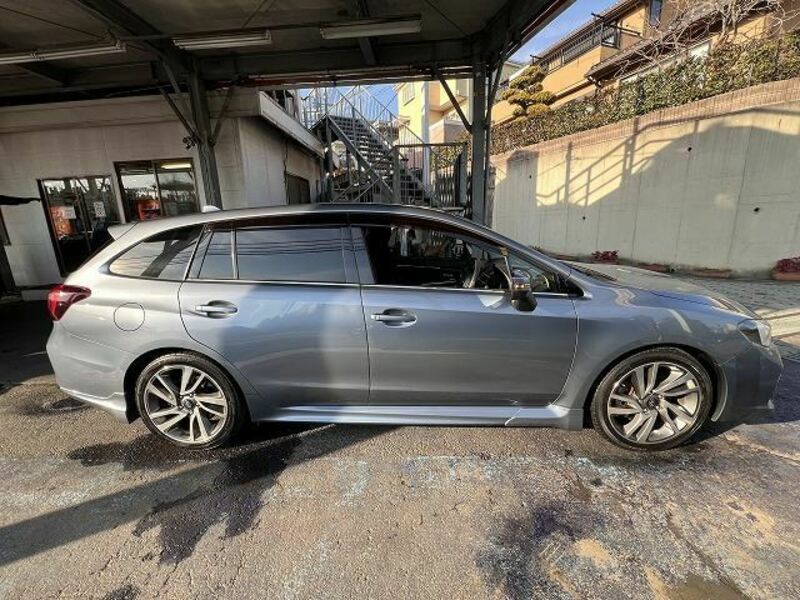 LEVORG