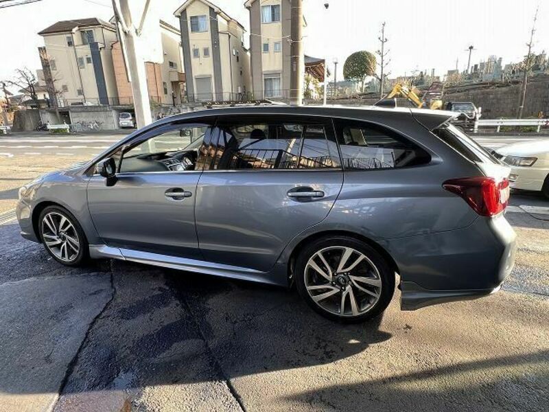 LEVORG