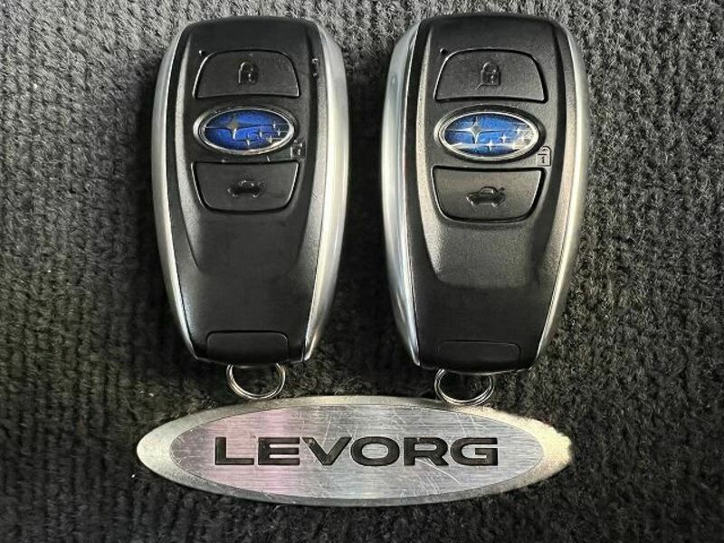 LEVORG