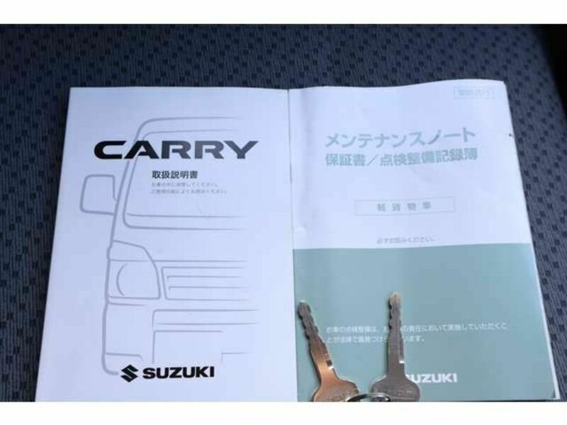 CARRY TRUCK