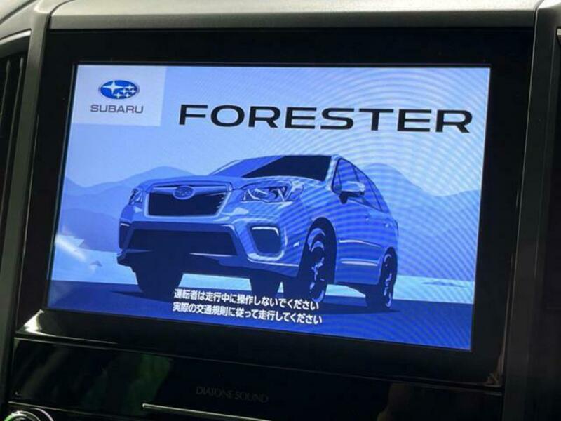 FORESTER