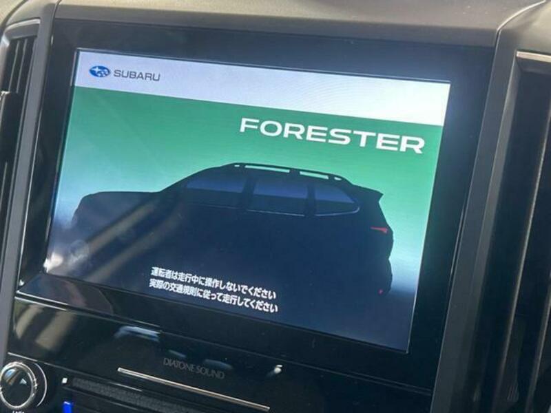 FORESTER