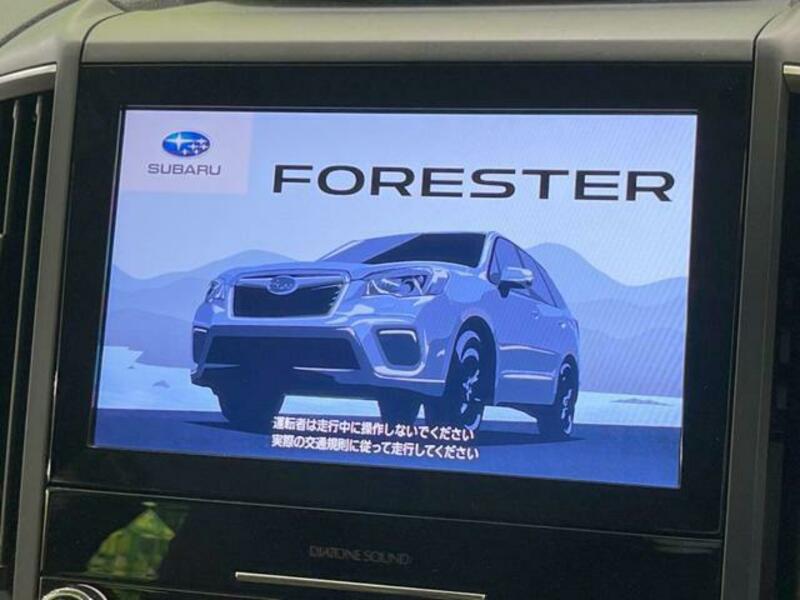 FORESTER