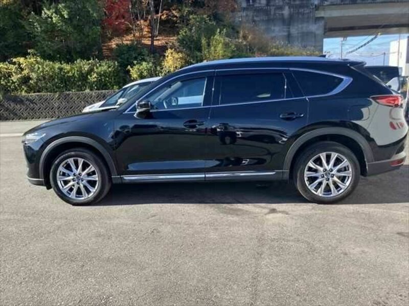 CX-8