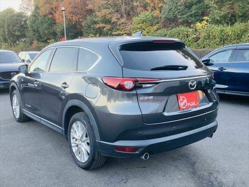 CX-8