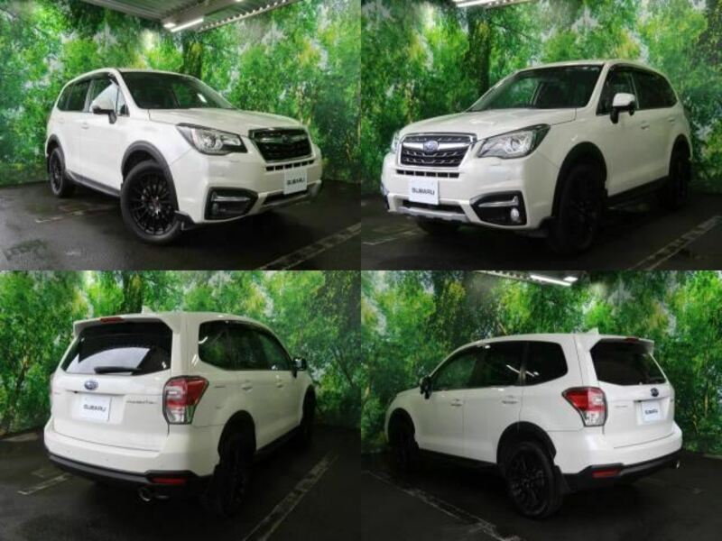 FORESTER