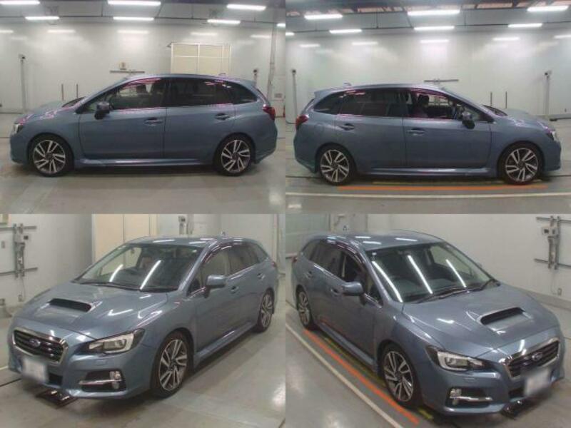 LEVORG