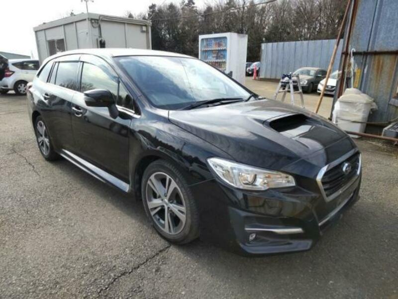 LEVORG