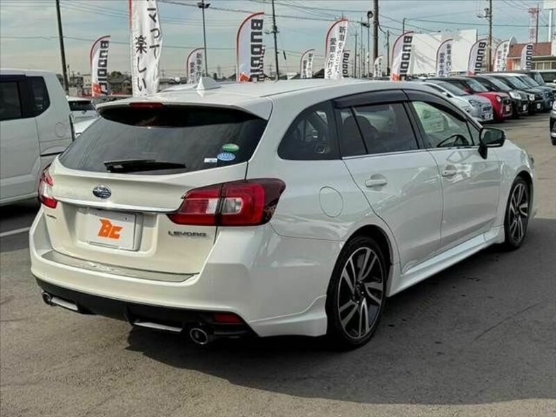 LEVORG