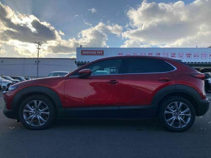 CX-30