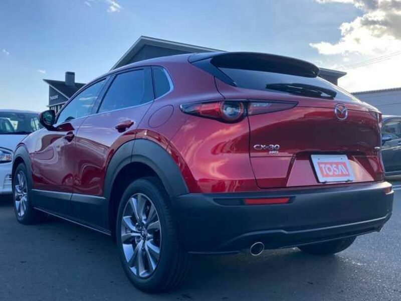 CX-30