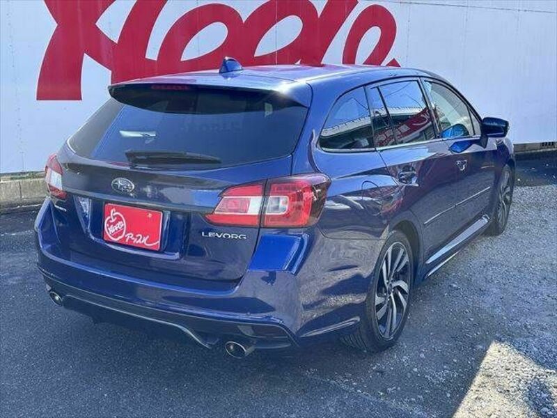 LEVORG