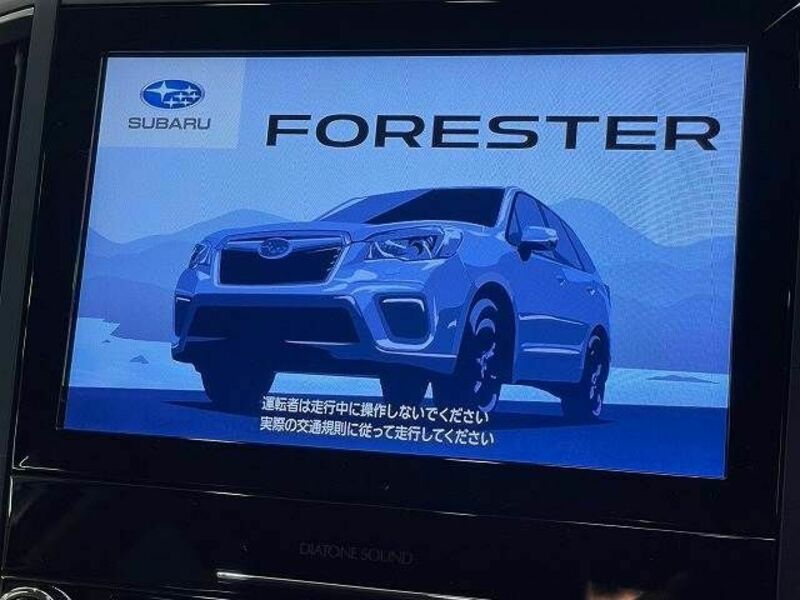 FORESTER