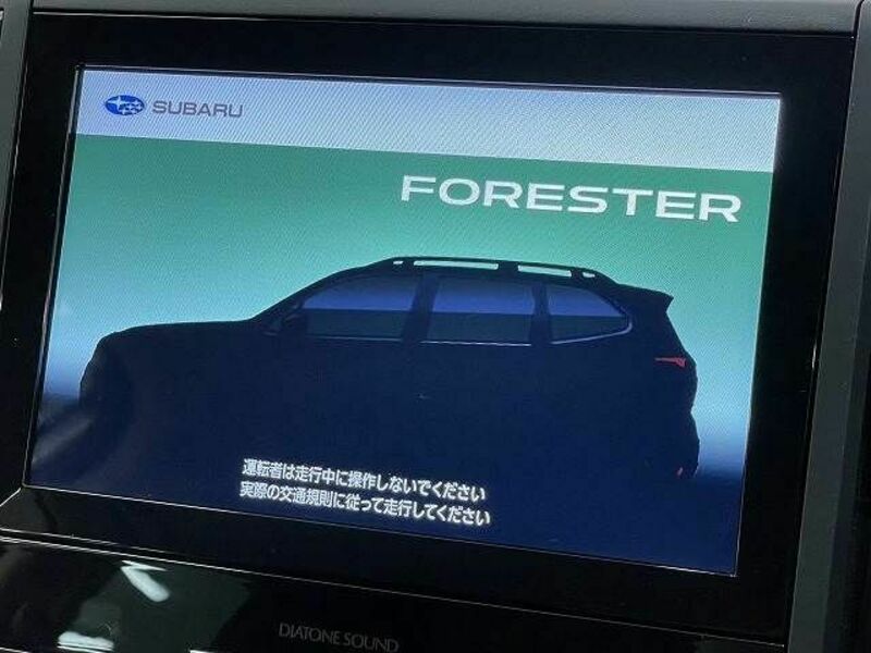 FORESTER