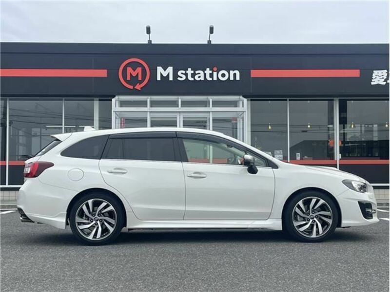 LEVORG