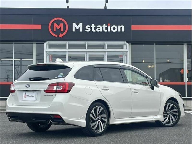 LEVORG