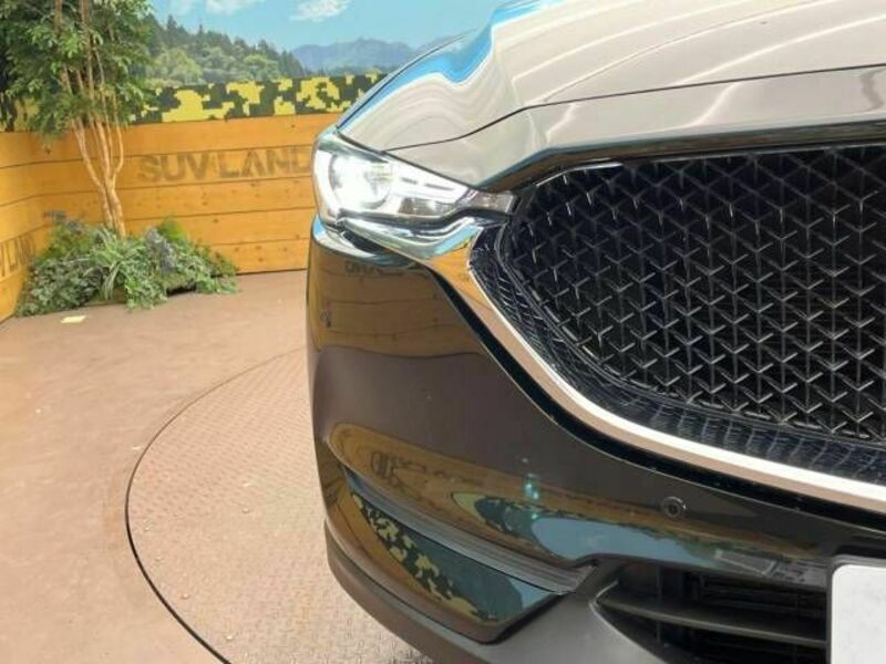 CX-5-11