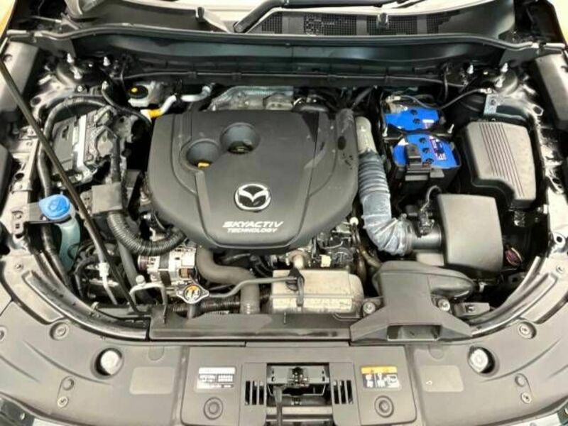 CX-5-17