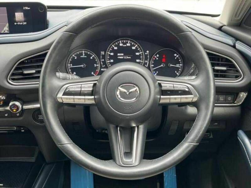 CX-30