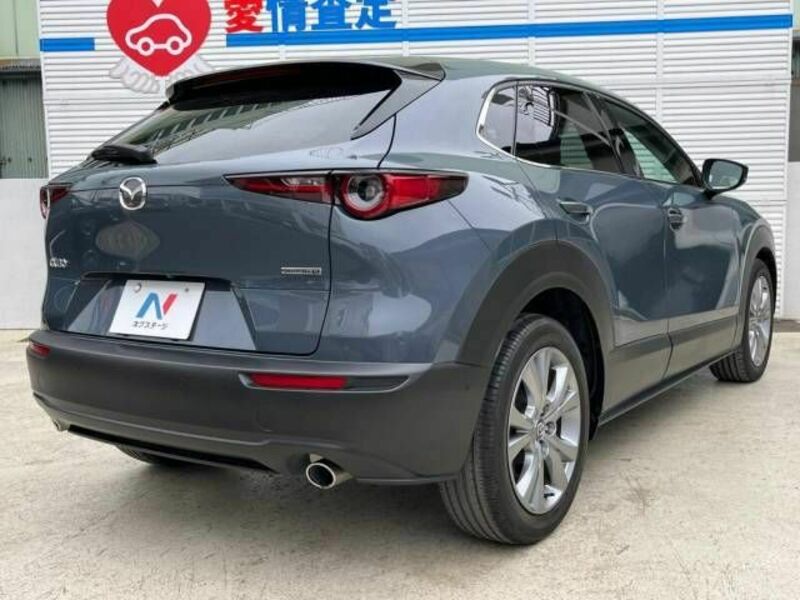 CX-30
