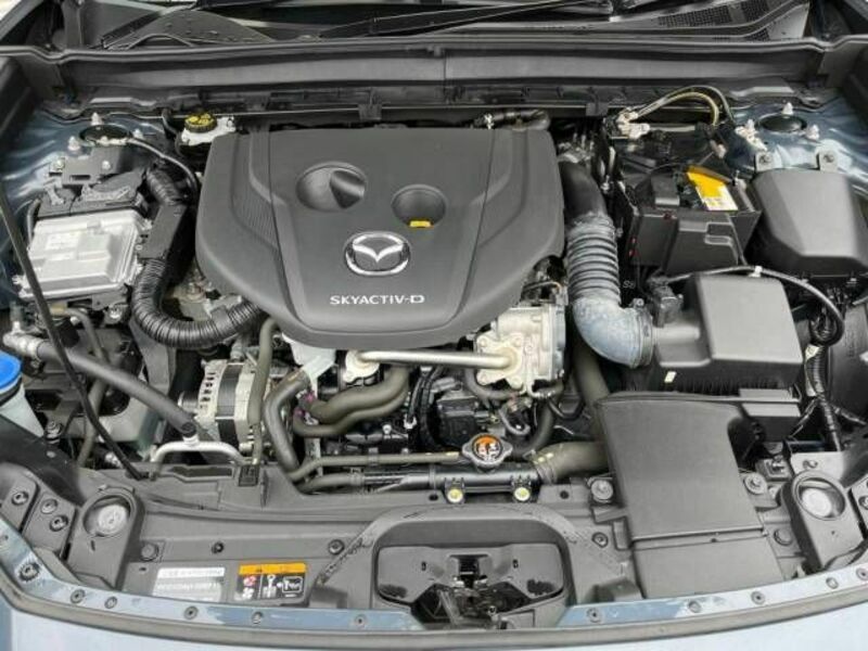 CX-30