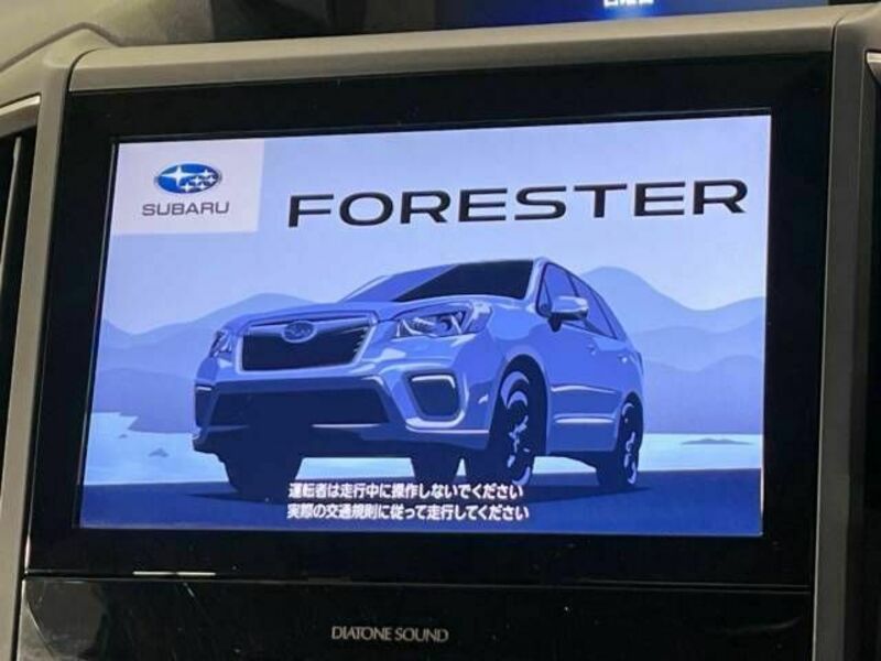 FORESTER