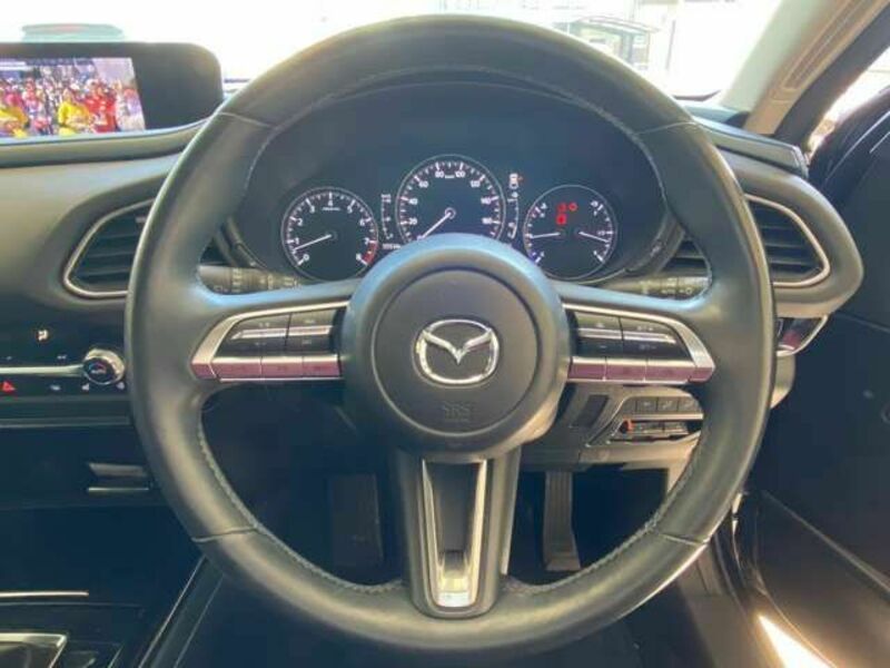 CX-30