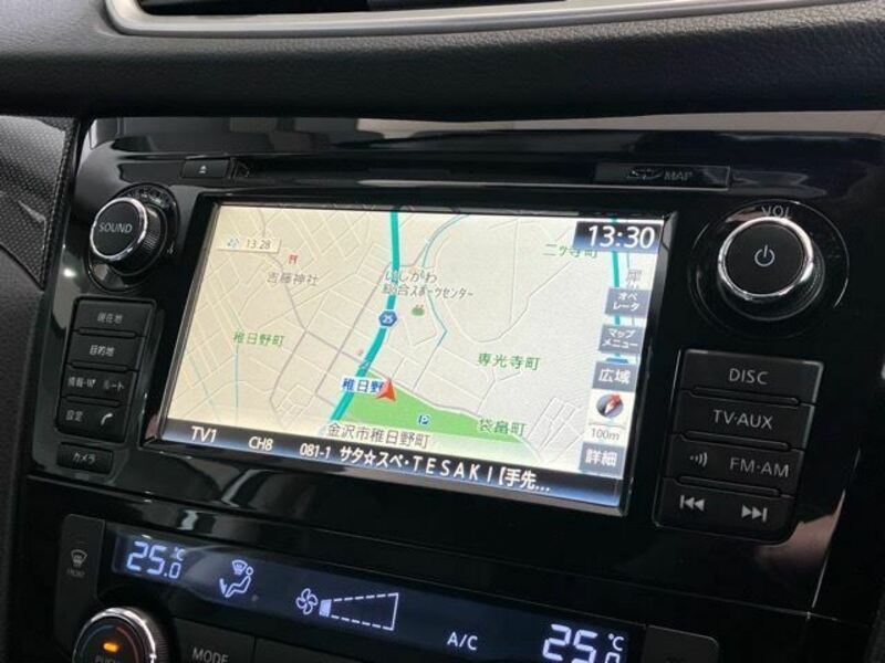 X-TRAIL-9