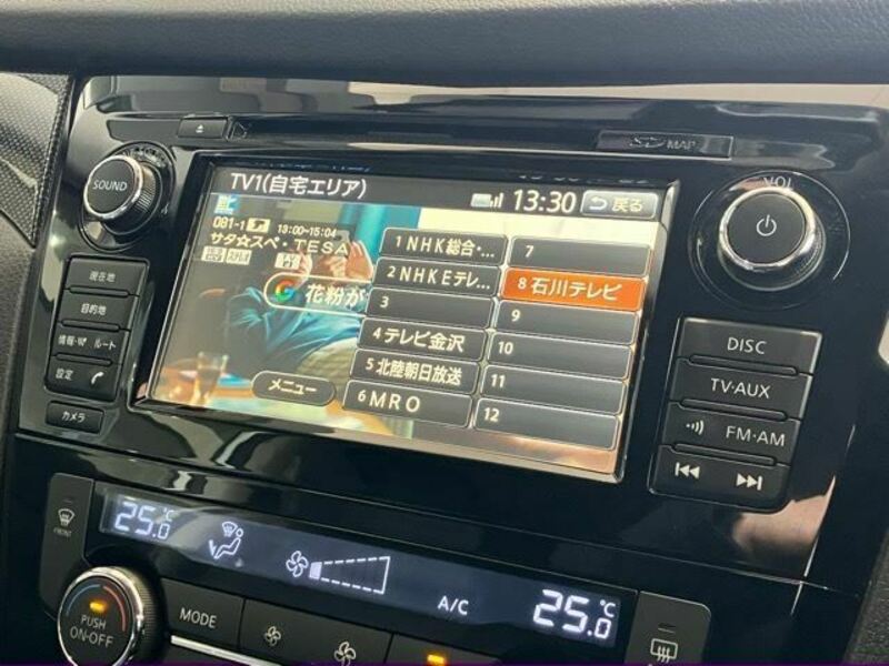 X-TRAIL-10