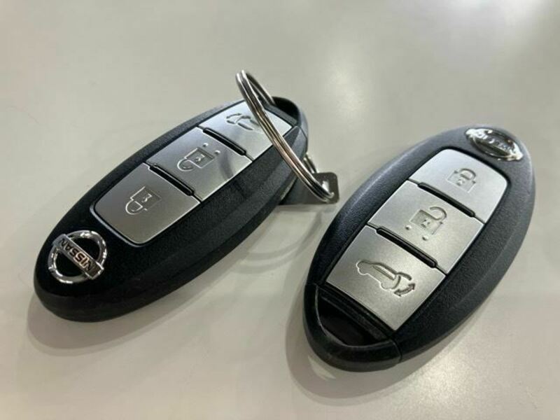 X-TRAIL-19