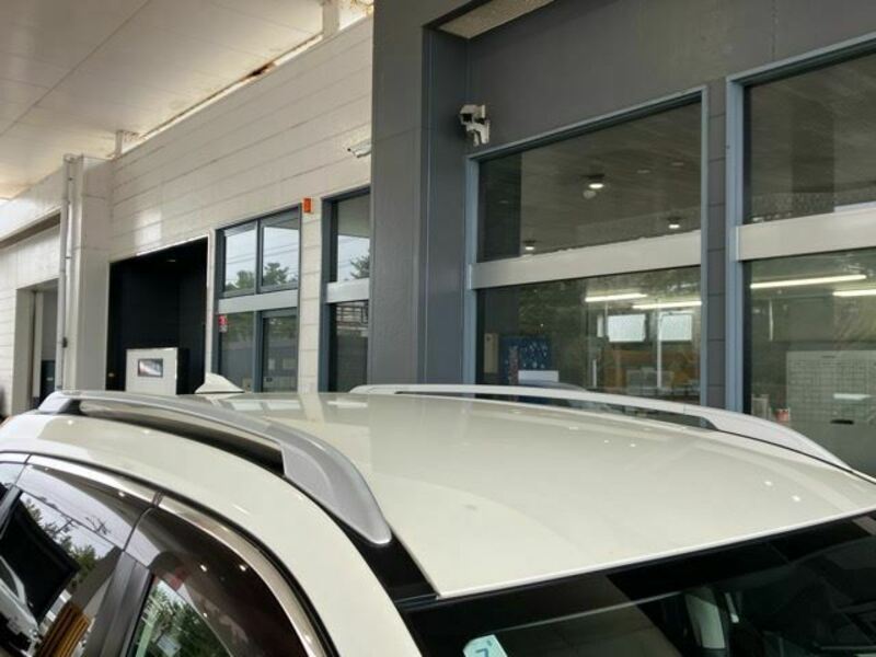 X-TRAIL-20