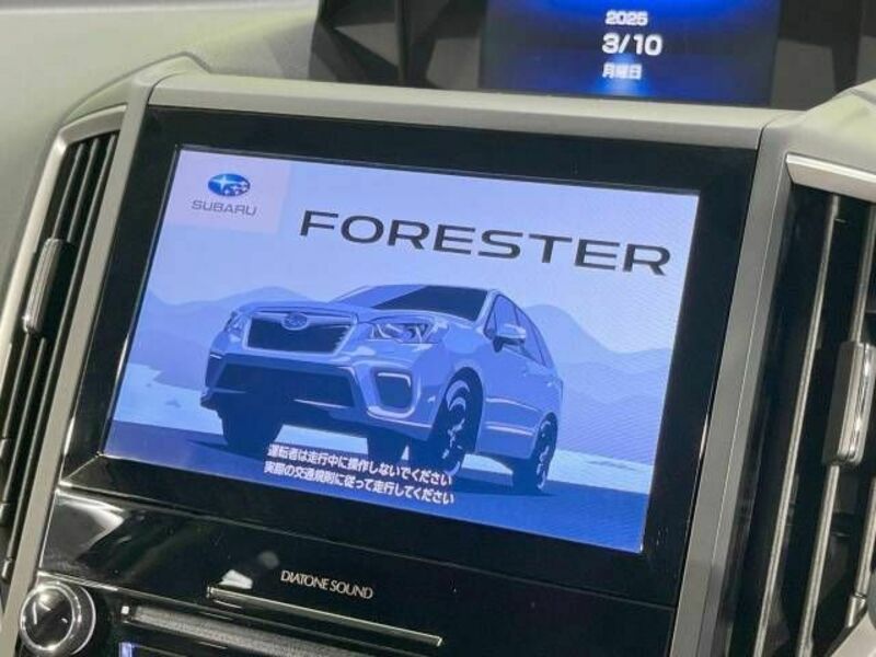 FORESTER