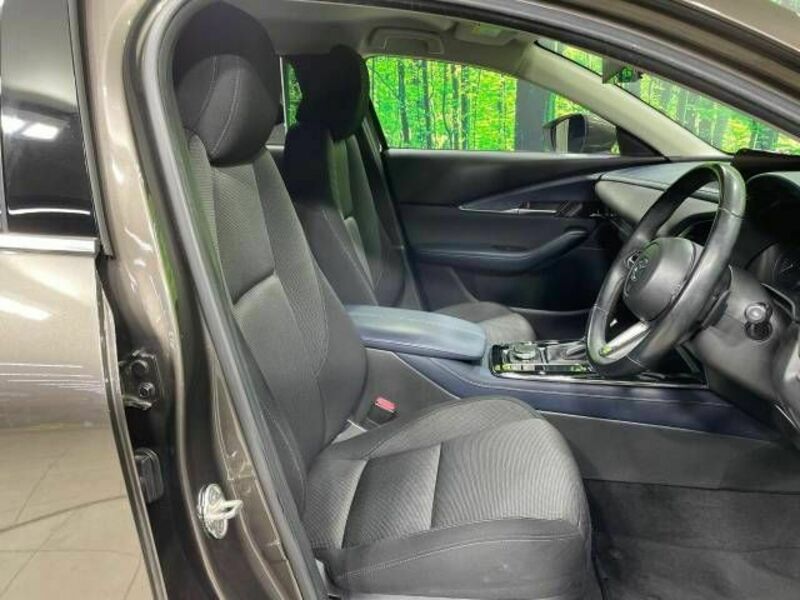 CX-30
