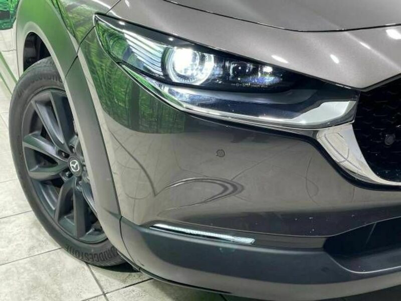 CX-30