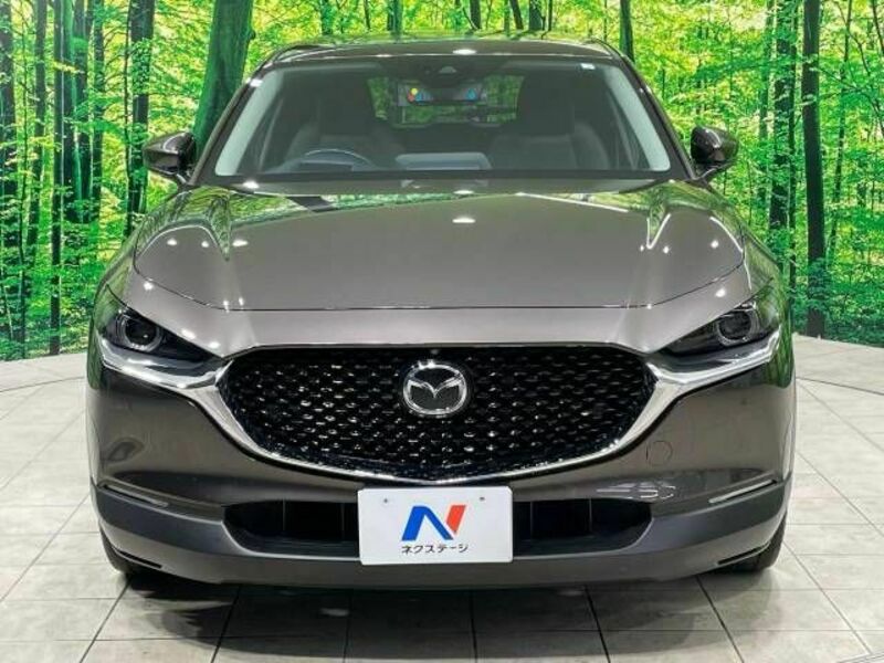CX-30