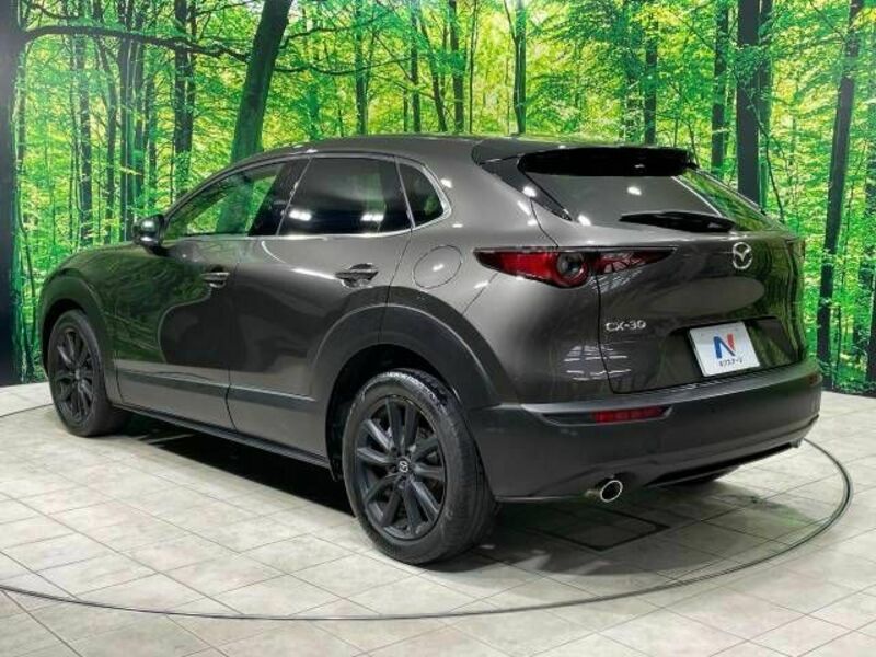 CX-30
