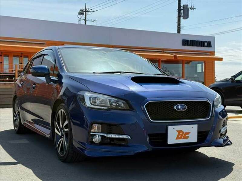 LEVORG