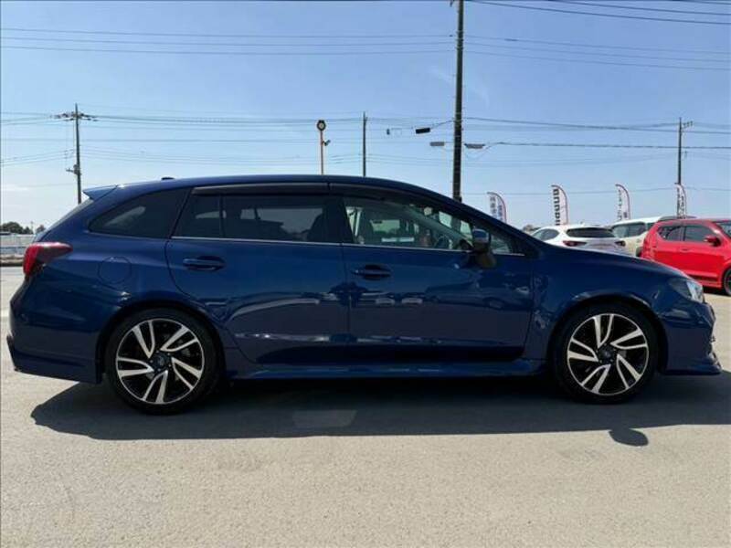 LEVORG