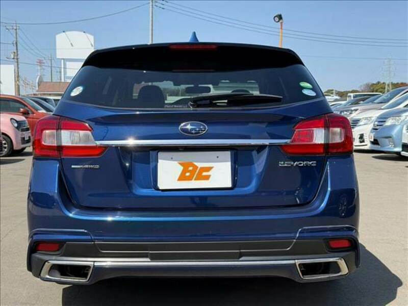 LEVORG