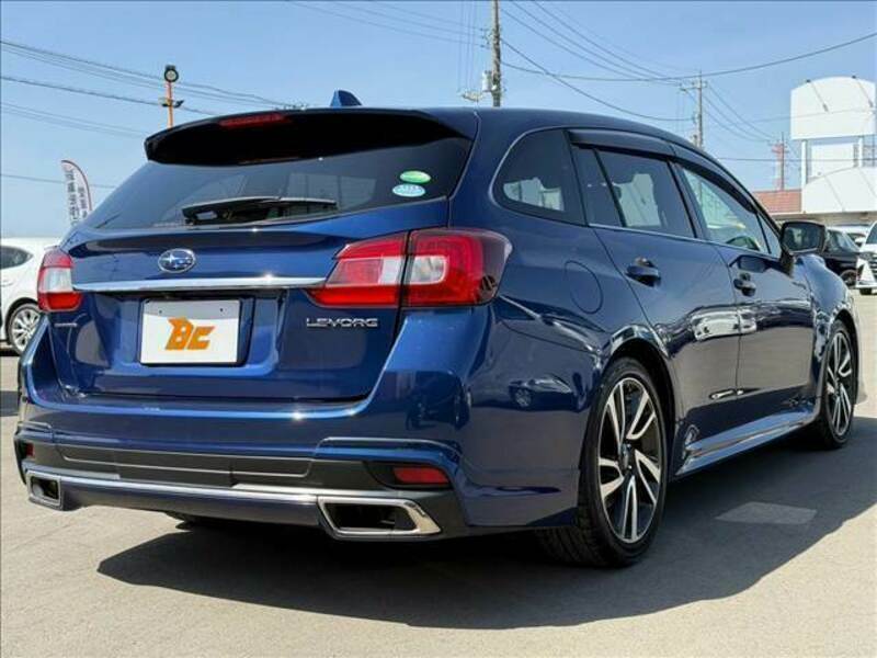 LEVORG