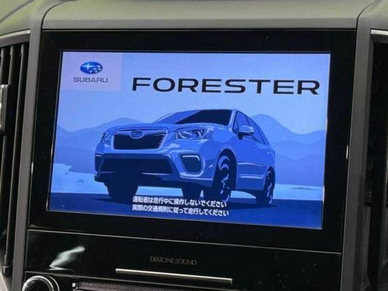 FORESTER