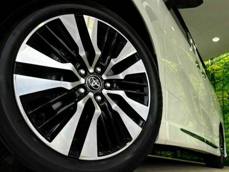ALPHARD-4