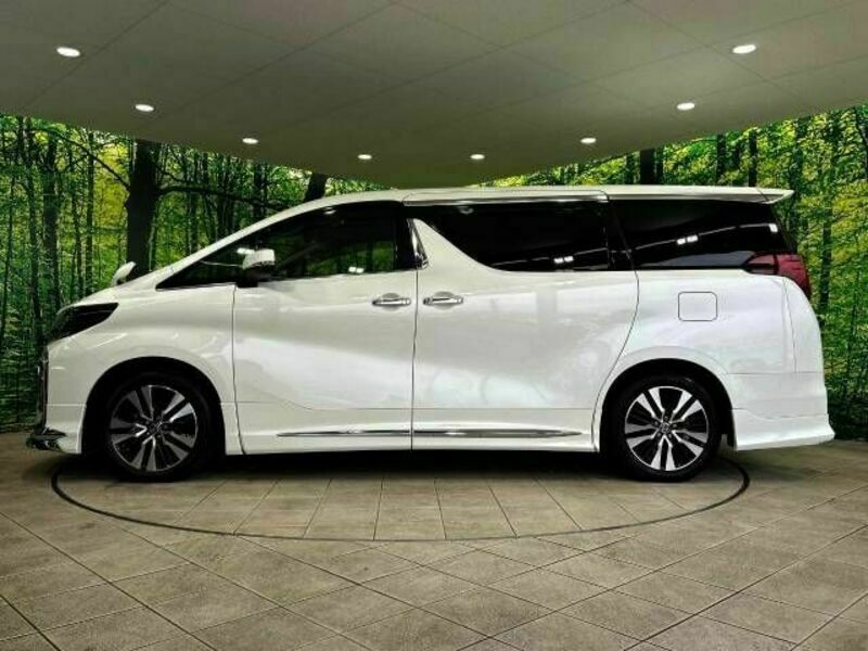 ALPHARD-10