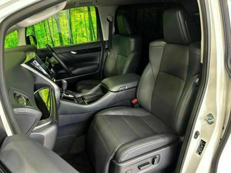ALPHARD-14