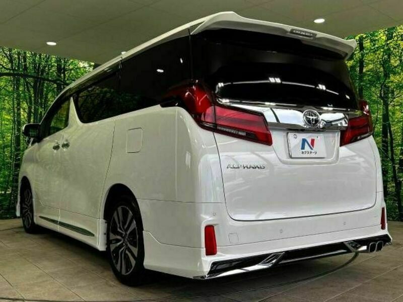 ALPHARD-18